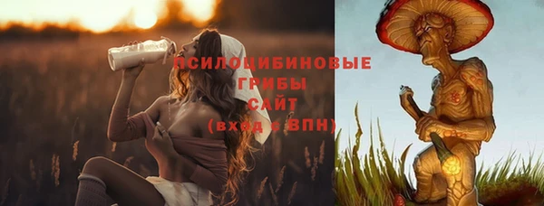 крисы Алексеевка