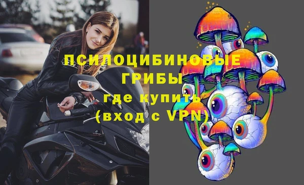 крисы Алексеевка