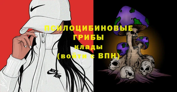 крисы Алексеевка