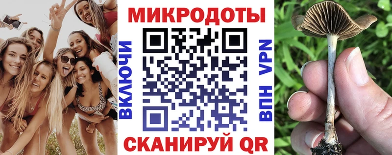 Галлюциногенные грибы Cubensis  дарнет шоп  Бикин 